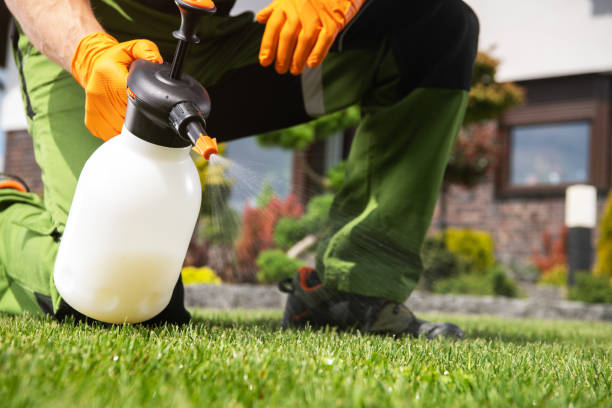 Best Wasp Removal Services  in Great Falls, SC