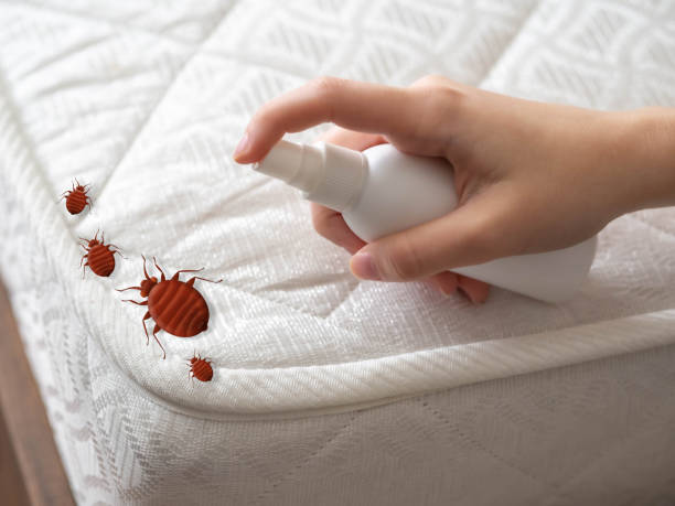 Great Falls, SC Pest Control Company